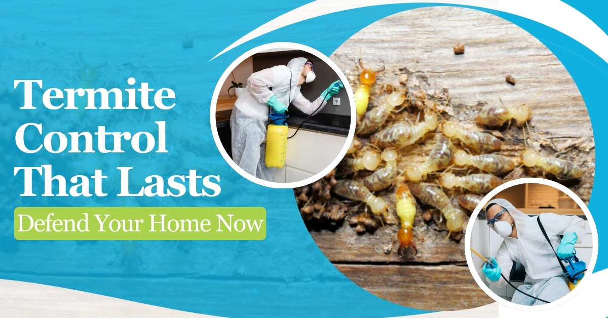 Termite Control That Lasts Defend Your Home Now | Bug-Masters