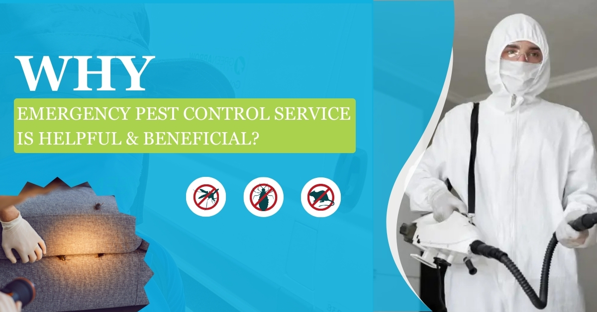 Why Emergency Pest Control Service is Helpful & Beneficial? | Bug-Masters